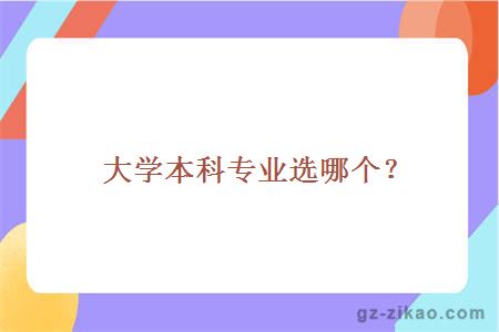 大學(xué)本科專(zhuān)業(yè)選哪個(gè)？