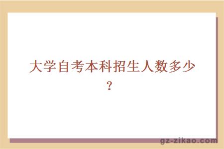 大學(xué)自考本科招生人數多少？