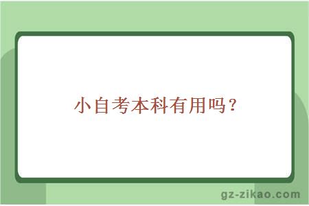 小自考本科有用嗎？