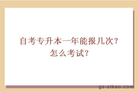 自考專(zhuān)升本一年能報幾次？怎么考試？