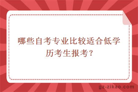哪些自考專(zhuān)業(yè)比較適合低學(xué)歷考生報考？