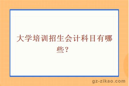 大學(xué)培訓招生會(huì )計科目有哪些？