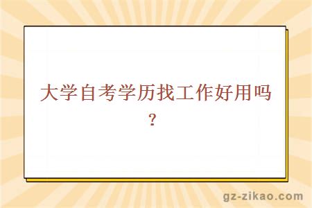 大學(xué)自考學(xué)歷找工作好用嗎？