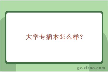 大學(xué)專(zhuān)插本怎么樣？