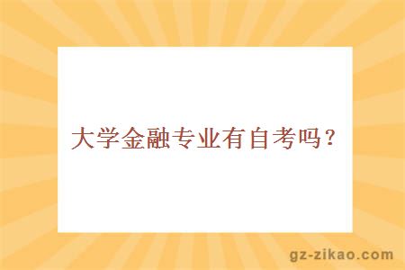 大學(xué)金融專(zhuān)業(yè)有自考嗎？