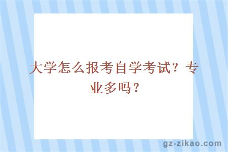 大學(xué)怎么報考自學(xué)考試？專(zhuān)業(yè)多嗎？