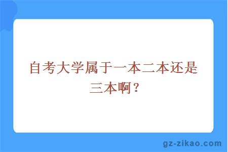 大學(xué)屬于一本二本還是三本??？