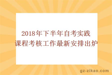 2018年下半年自考實(shí)踐課程考核工作最新安排出爐