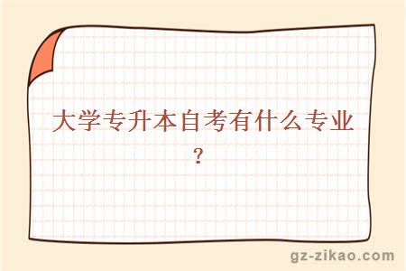 大學(xué)專(zhuān)升本自考有什么專(zhuān)業(yè)？
