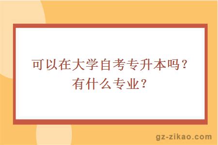 可以在大學(xué)自考專(zhuān)升本嗎？有什么專(zhuān)業(yè)？