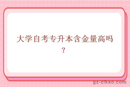 大學(xué)自考專(zhuān)升本含金量高嗎？