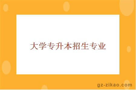 自考專(zhuān)業(yè)