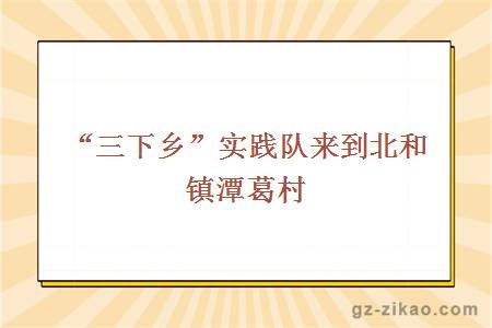 “三下鄉”實(shí)踐隊來(lái)到北和鎮潭葛村