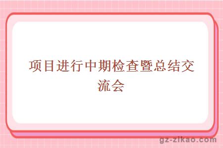 項目進(jìn)行中期檢查暨總結交流會(huì )"