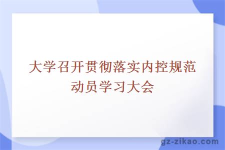 召開(kāi)貫徹落實(shí)內控規范動(dòng)員學(xué)習大會(huì )
