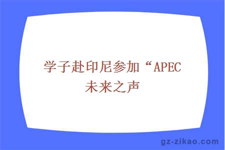 學(xué)子赴印尼參加“APEC未來(lái)之聲