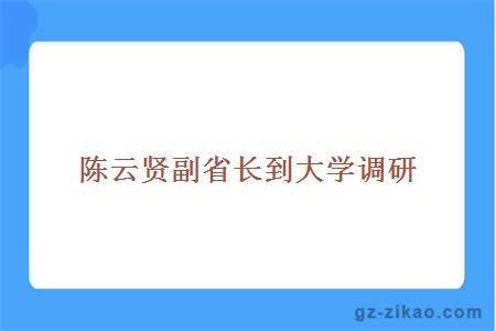 陳云賢副省長(cháng)到調研 