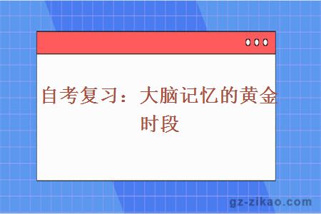 自考復習：大腦記憶的黃金時(shí)段
