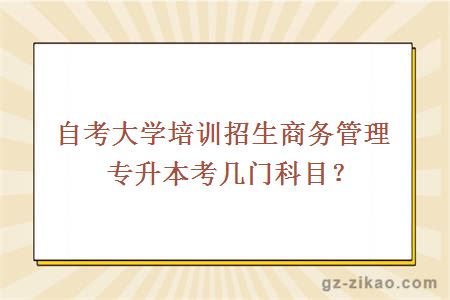 自考商務(wù)管理