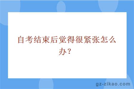 自考報名
