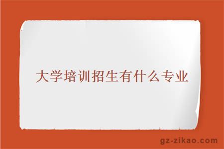 自考招生專(zhuān)業(yè)