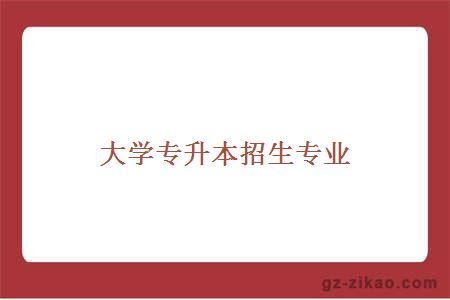 大學(xué)專(zhuān)升本招生專(zhuān)業(yè)
