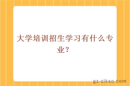 自考專(zhuān)業(yè)推薦
