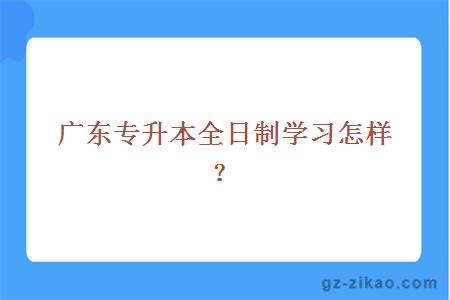 廣東專(zhuān)升本全日制優(yōu)勢