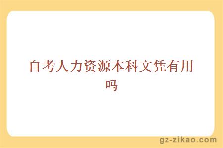 自考人力資源本科文憑有用嗎