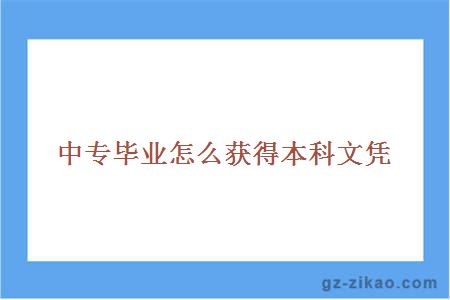本科文憑