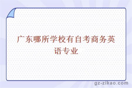 廣東哪所學(xué)校有自考商務(wù)英語(yǔ)專(zhuān)業(yè)