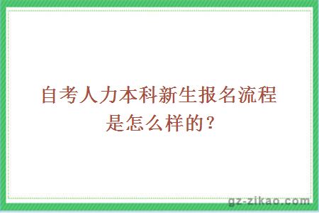 自考人力本科新生報名流程是怎么樣的？