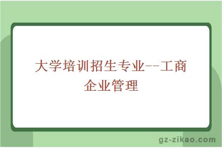 大學(xué)培訓招生專(zhuān)業(yè)--工商企業(yè)管理