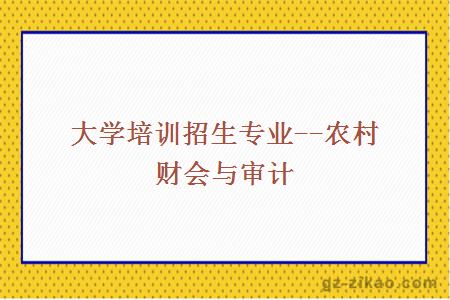農村財會(huì )與審計
