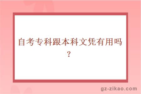 自考專(zhuān)科跟本科文憑有用嗎？