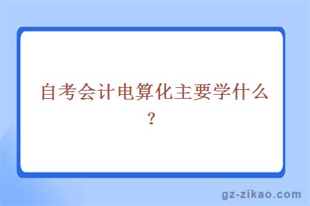 自考會(huì )計電算化主要學(xué)什么？