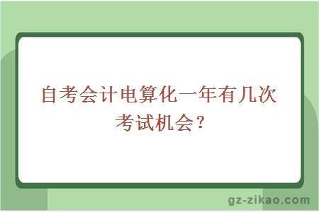 自考會(huì )計電算化一年有幾次考試機會(huì )？