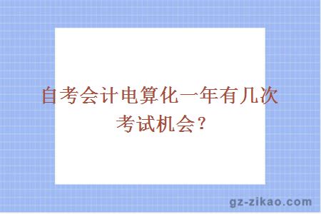 自考會(huì )計電算化