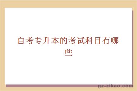 自考專(zhuān)升本的考試科目有哪些