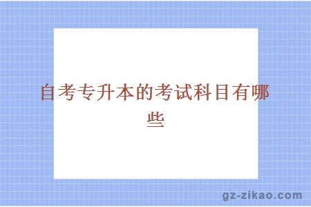 自考專(zhuān)升本