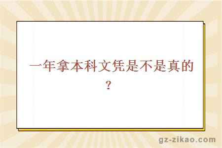 自考本科文憑