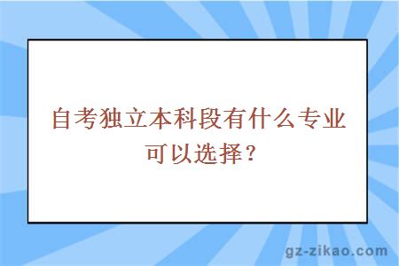 自考獨立本科段有什么專(zhuān)業(yè)可以選擇？