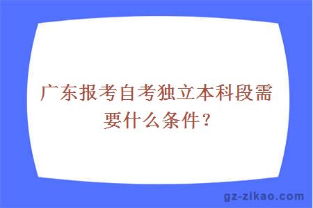 自考獨立本科段