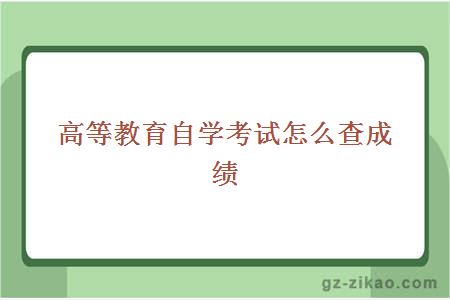 高等教育自學(xué)考試