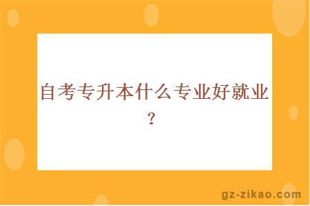 自考專(zhuān)升本什么專(zhuān)業(yè)好就業(yè)？