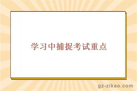 學(xué)習中捕捉考試重點(diǎn)
