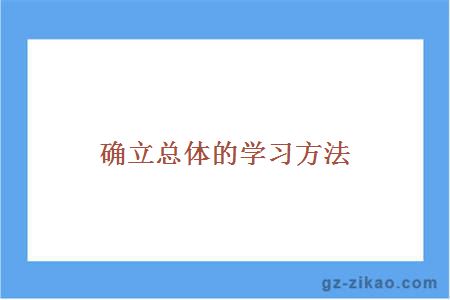 確立總體的學(xué)習方法