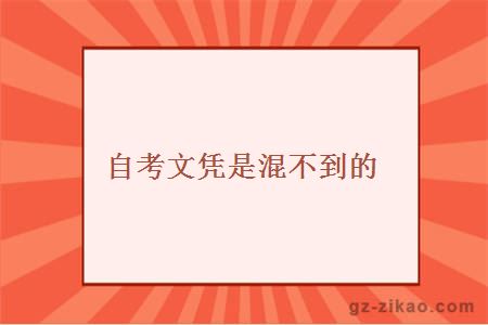 自學(xué)考試