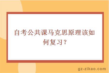 自考公共課馬克思原理該如何復習？