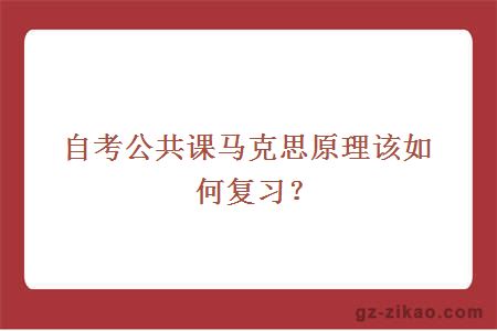 自學(xué)考試復習